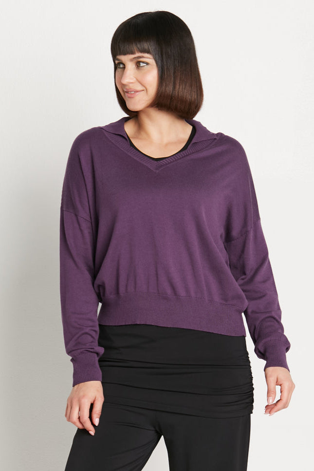 Pima Cotton Preppy V Neck Sweater Plum