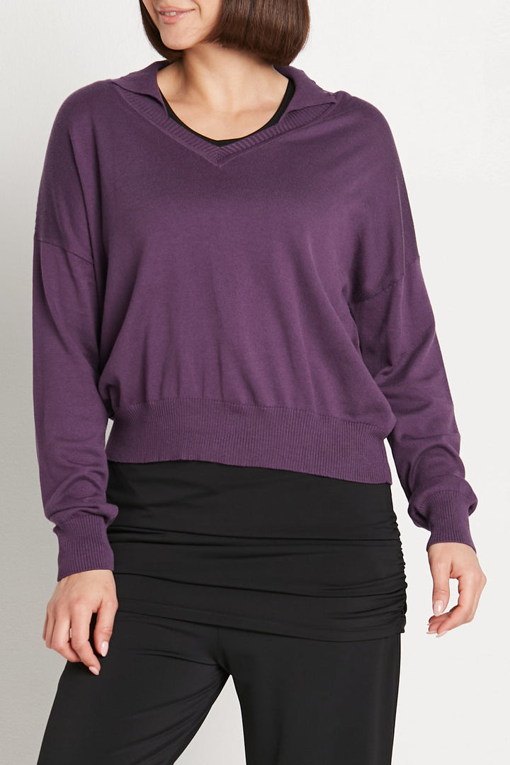 Pima Cotton Preppy V Neck Sweater Plum