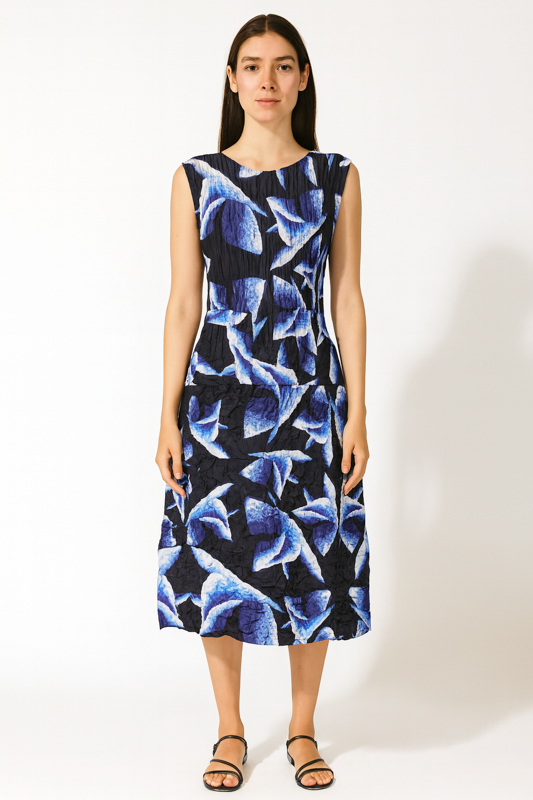 Smash Pocket Dress Blue Birds