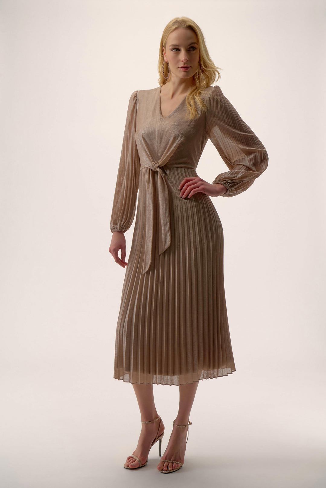 Foiled Chiffon Fit and Flare Pleated Dress