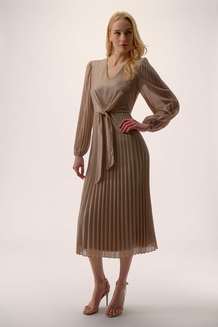 Foiled Chiffon Fit and Flare Pleated Dress