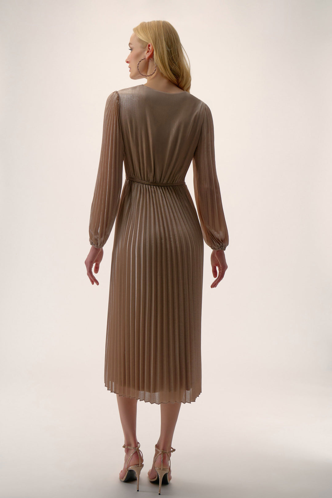 Foiled Chiffon Fit and Flare Pleated Dress