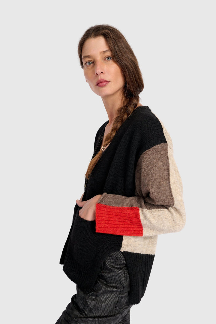 Contrast Sleeve Cardigan in Black, Brown, Red, Mix