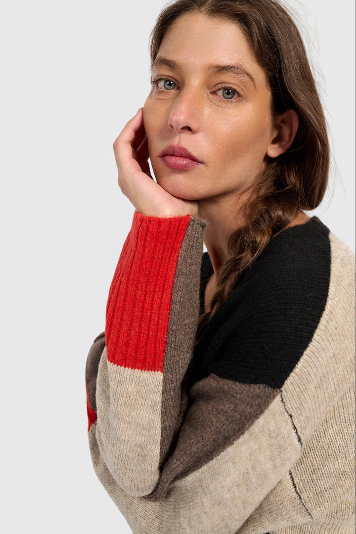 Contrast Sleeve Cardigan in Black, Brown, Red, Mix