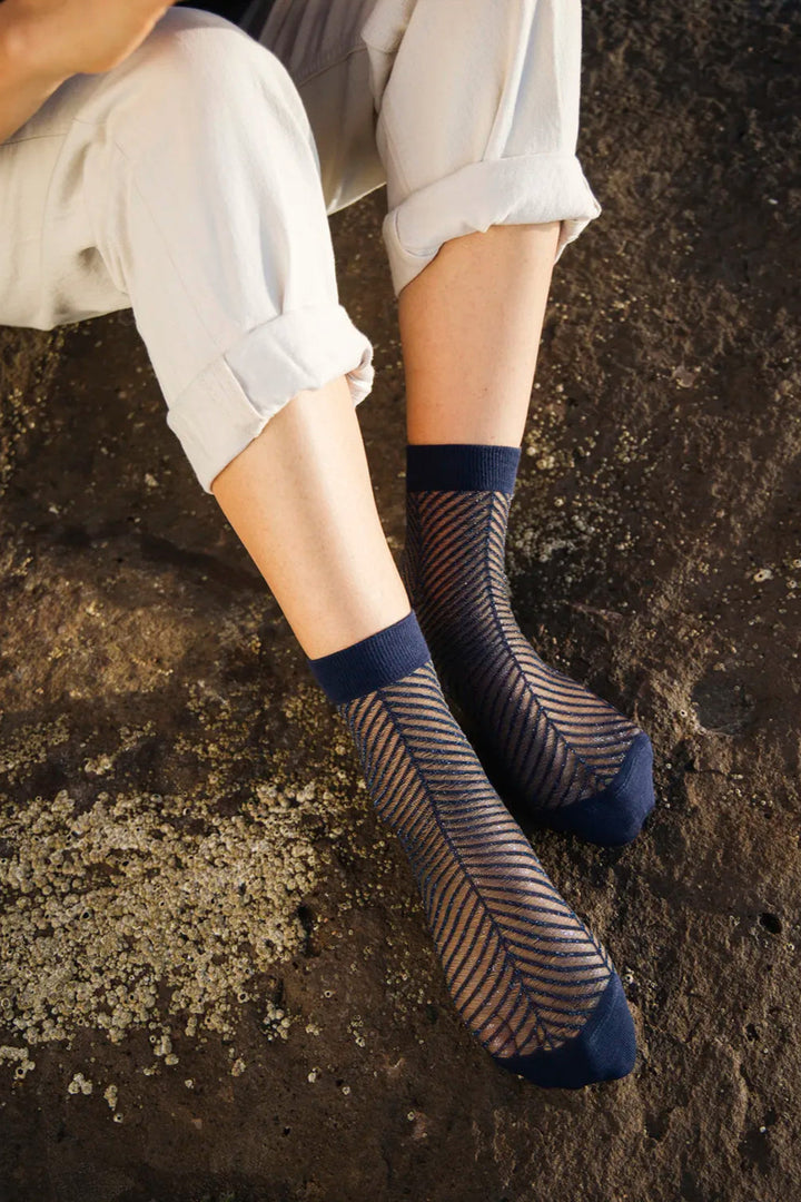 Fir in Blue